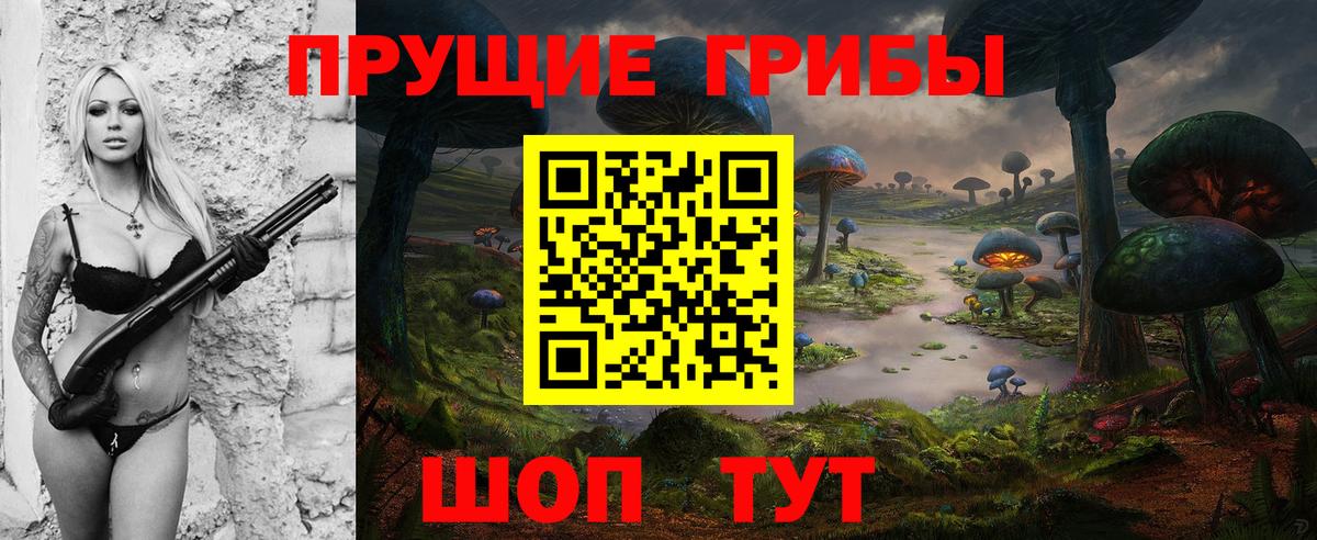Псилоцибиновые грибы мицелий  Вход с VPN  Карпинск  Псилоцибиновые грибы прущие грибы 