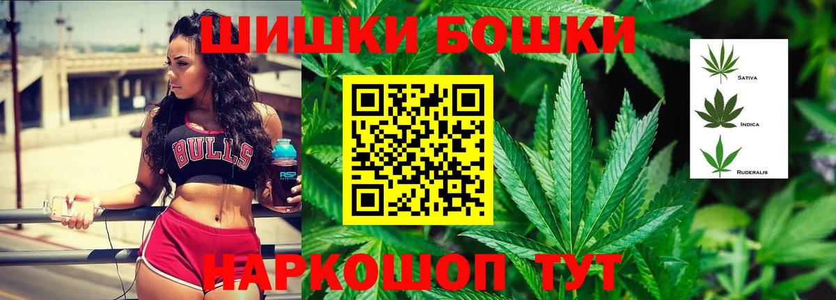 Бошки Шишки план Карпинск